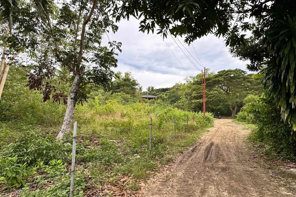 Land for Sale in Tangnan, Panglao, Bohol – photo 3