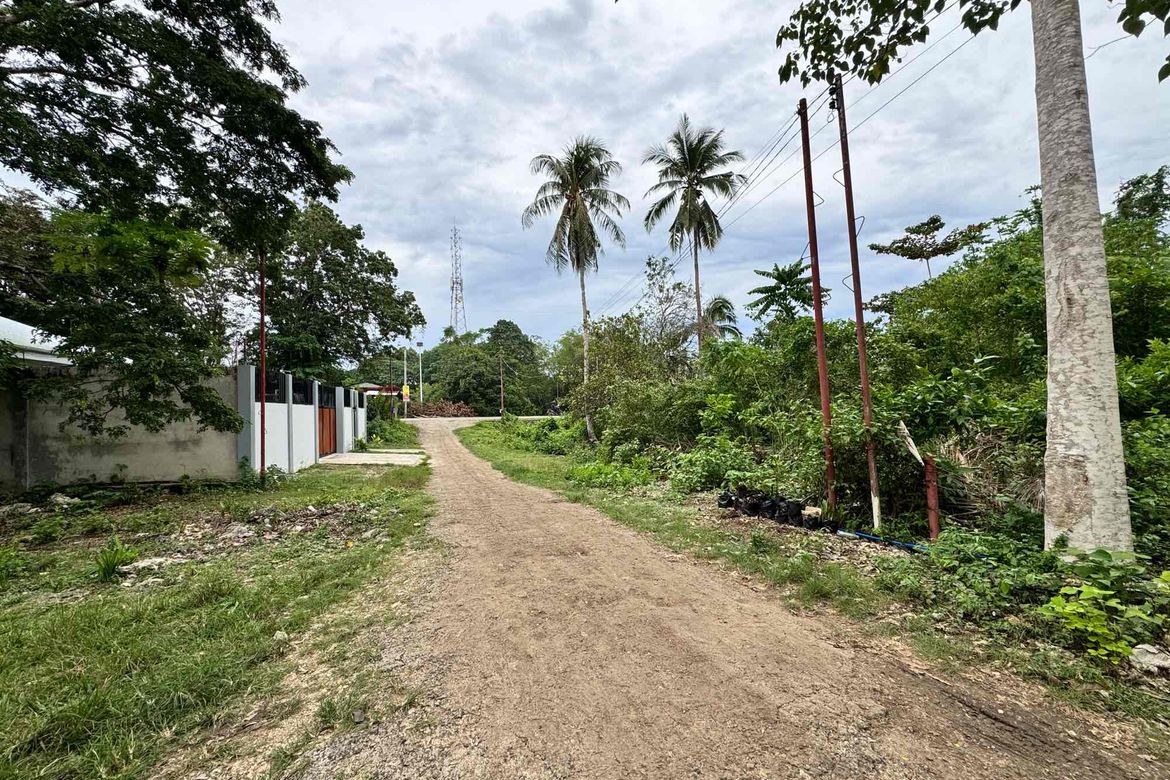 Land for Sale in Tangnan, Panglao, Bohol – photo 6