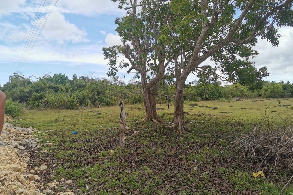 Land for Sale in Tangnan, Panglao, Bohol – photo 3