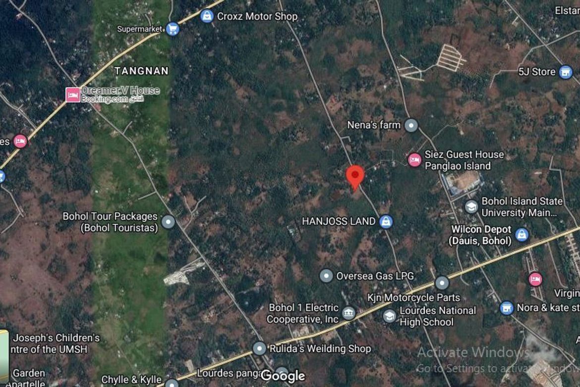 Land for Sale in Tangnan, Panglao, Bohol – photo 5