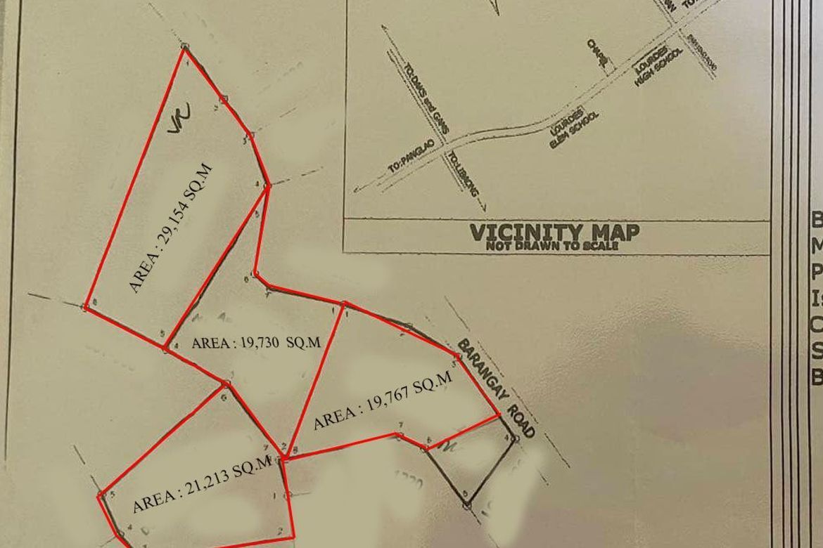 Land for Sale in Tangnan, Panglao, Bohol – photo 6