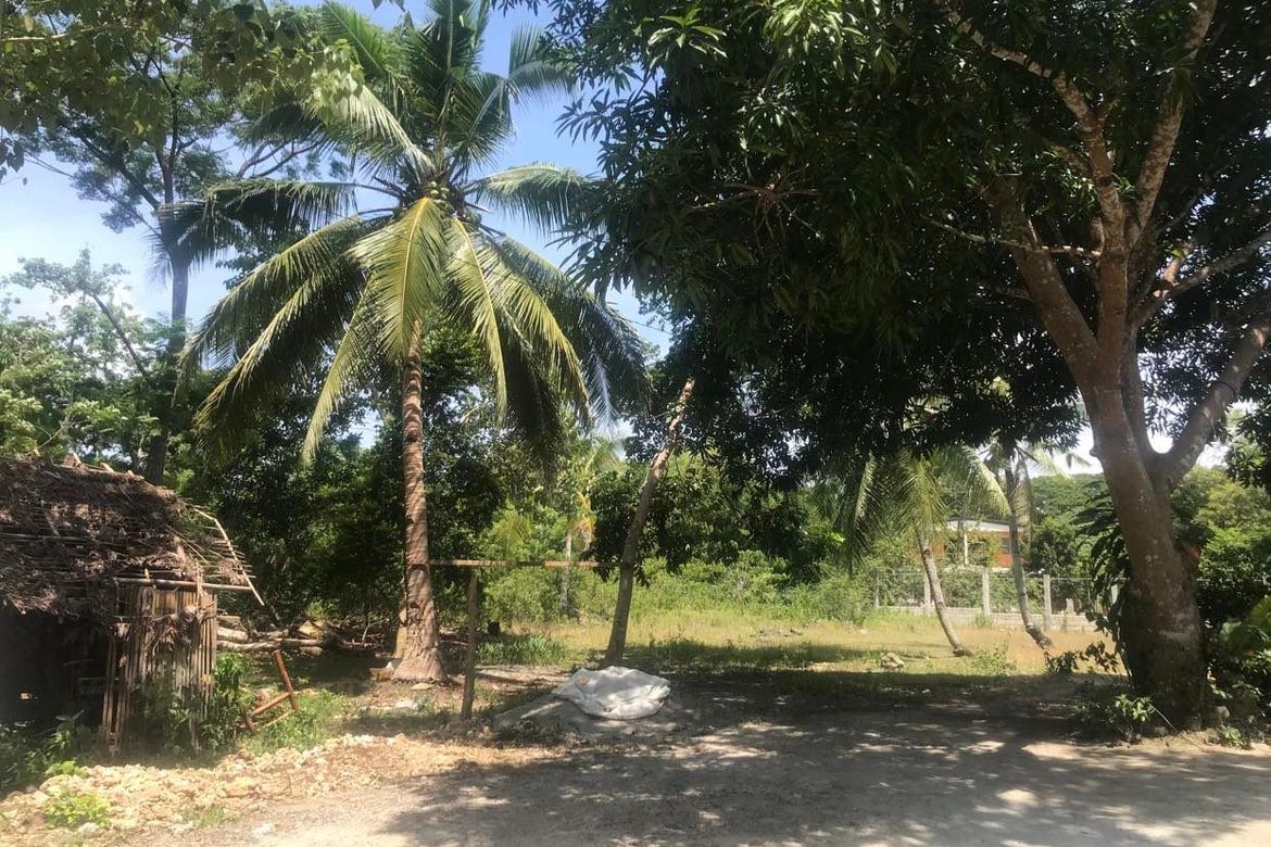 Land for Sale in Tangnan, Panglao, Bohol