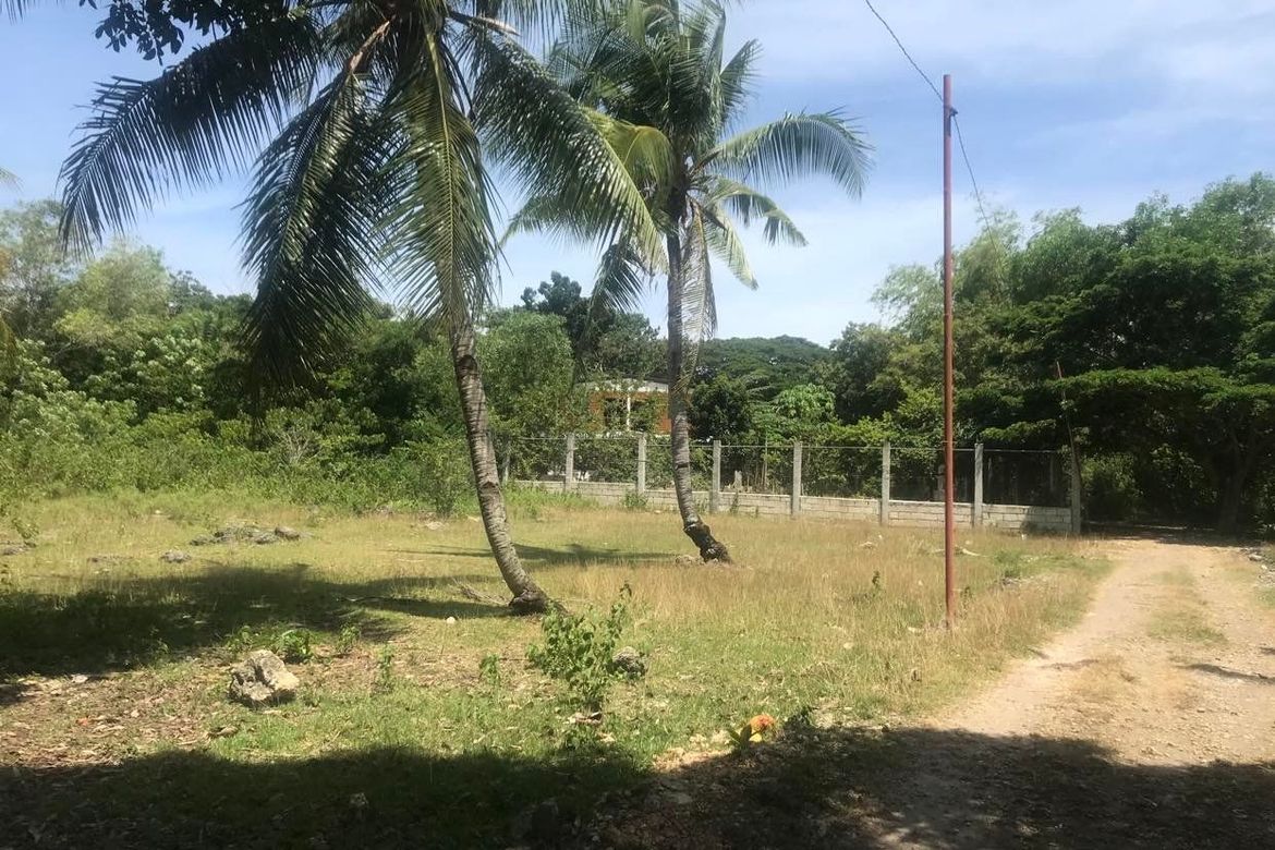 Land for Sale in Tangnan, Panglao, Bohol – photo 3