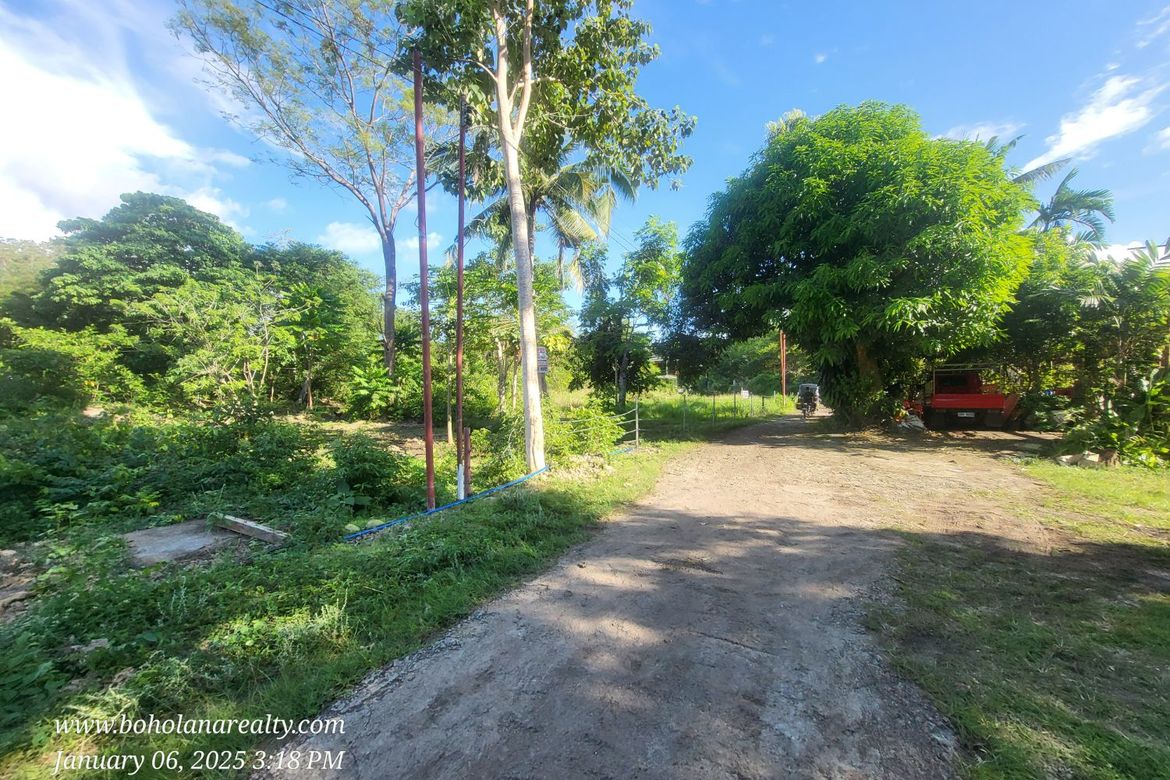 Land for Sale in Tangnan, Panglao, Bohol