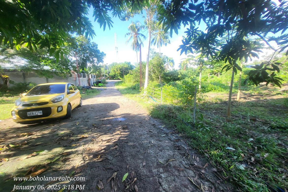 Land for Sale in Tangnan, Panglao, Bohol – photo 4