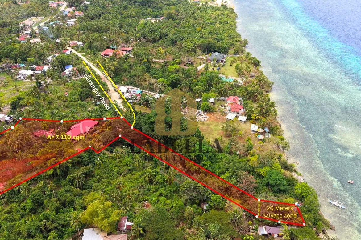 Land for Sale in Tangnan, Panglao, Bohol – photo 3