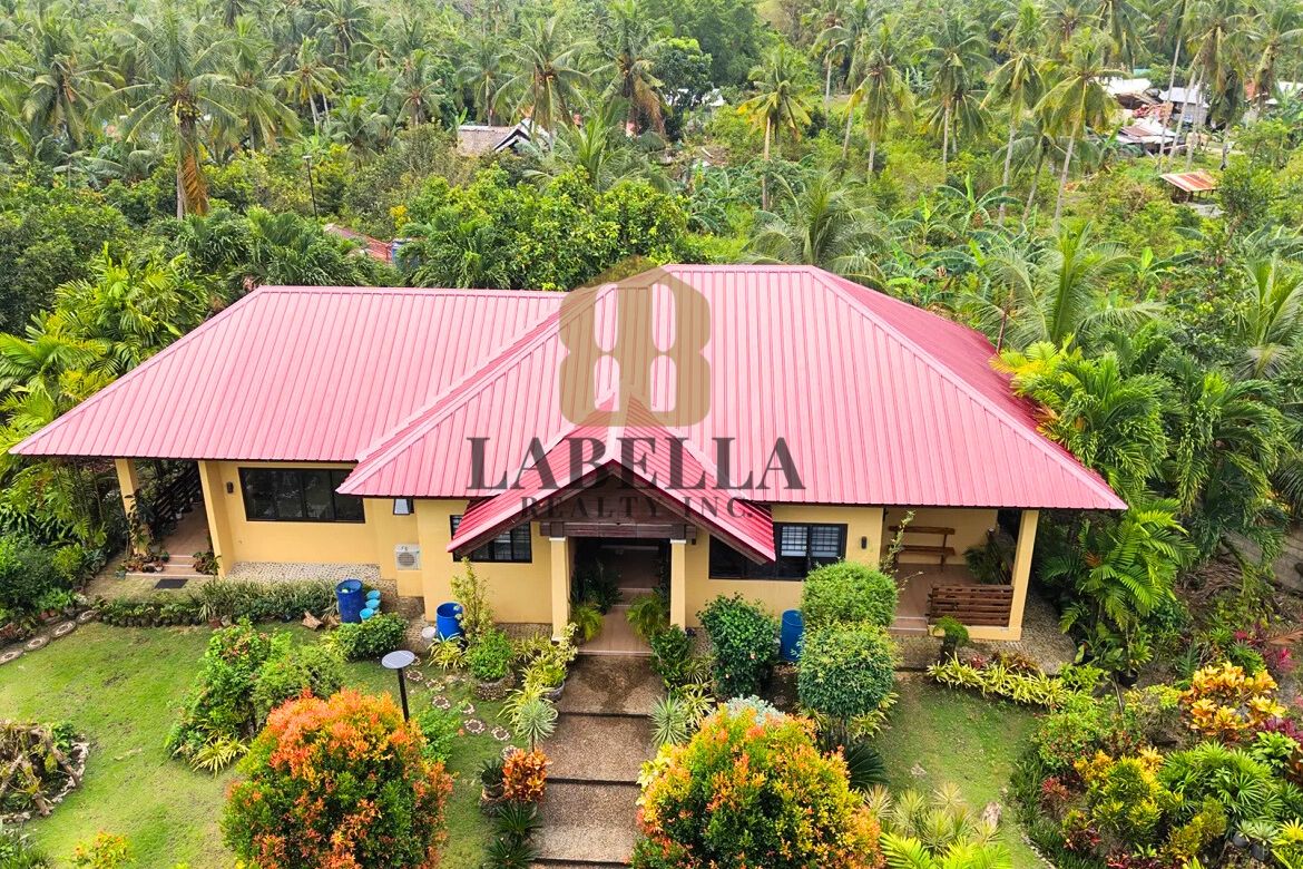 Land for Sale in Tangnan, Panglao, Bohol – photo 4