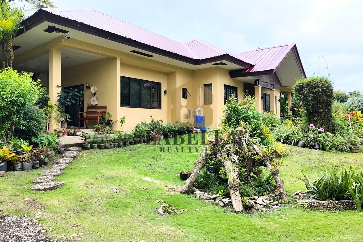 Land for Sale in Tangnan, Panglao, Bohol – photo 5
