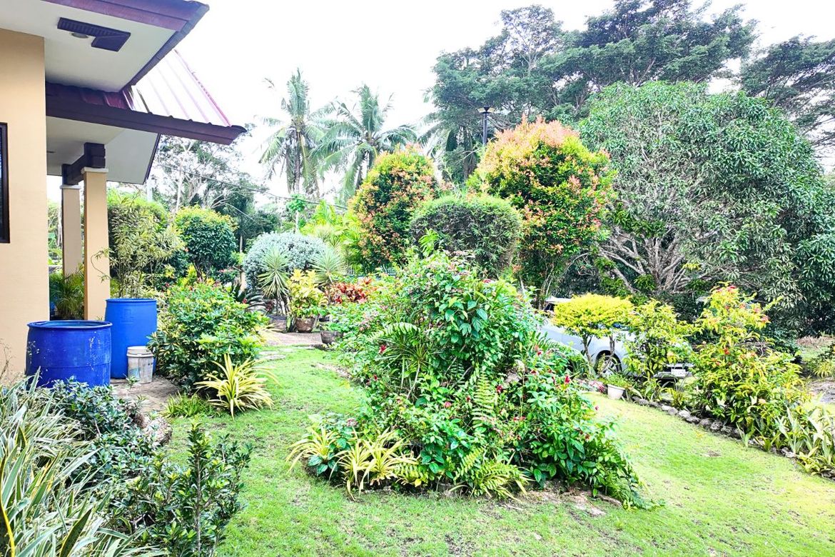 Land for Sale in Tangnan, Panglao, Bohol – photo 8