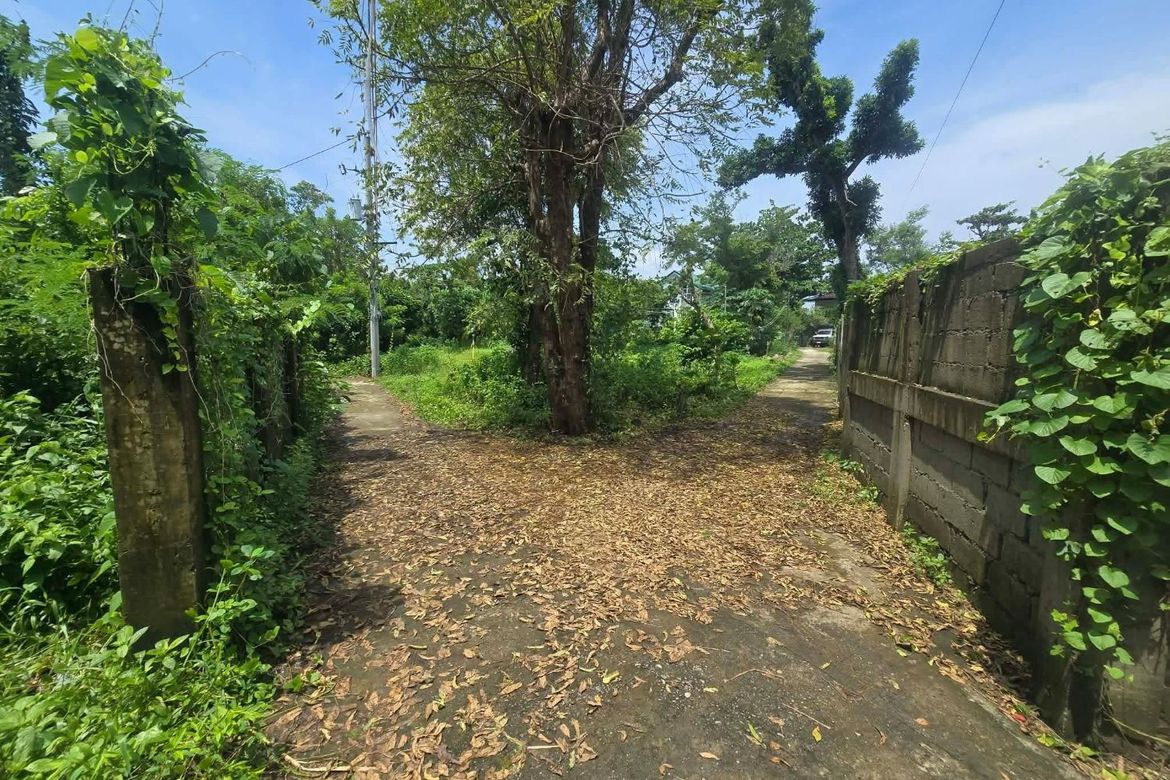 Land for Sale in Tanqui, San Fernando, La Union – photo 3