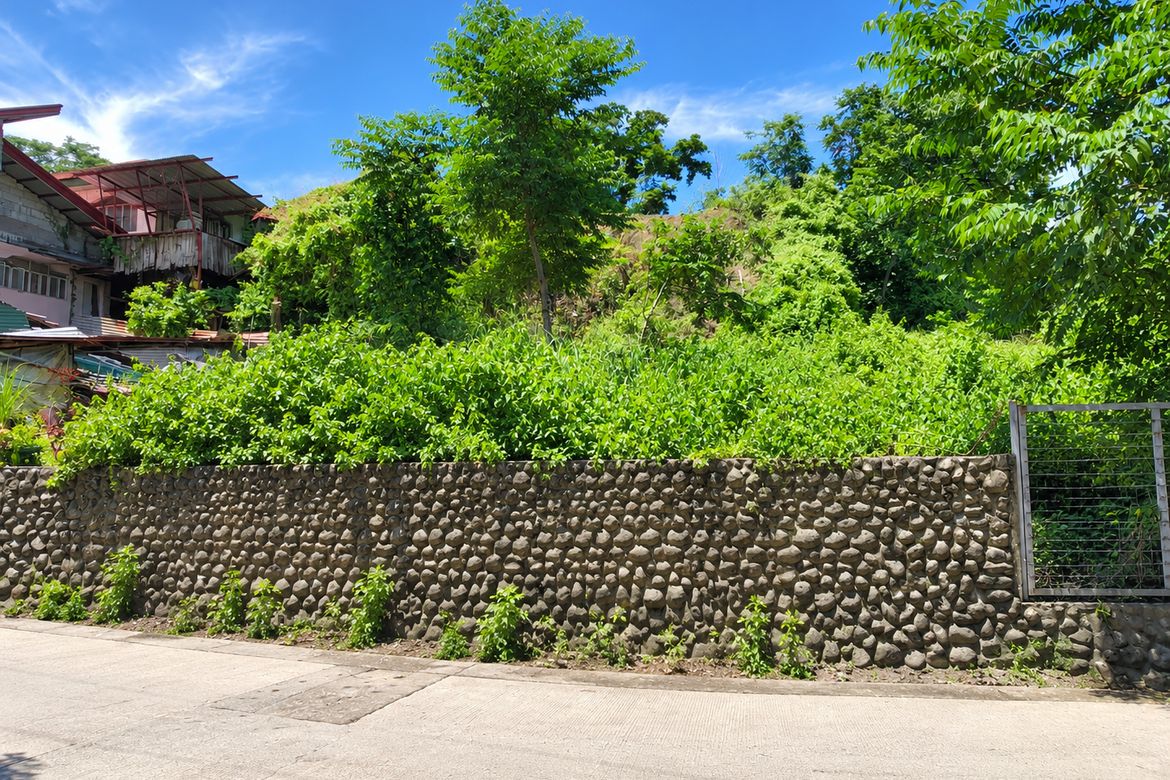 Land for Sale in Tanqui, San Fernando, La Union – photo 3