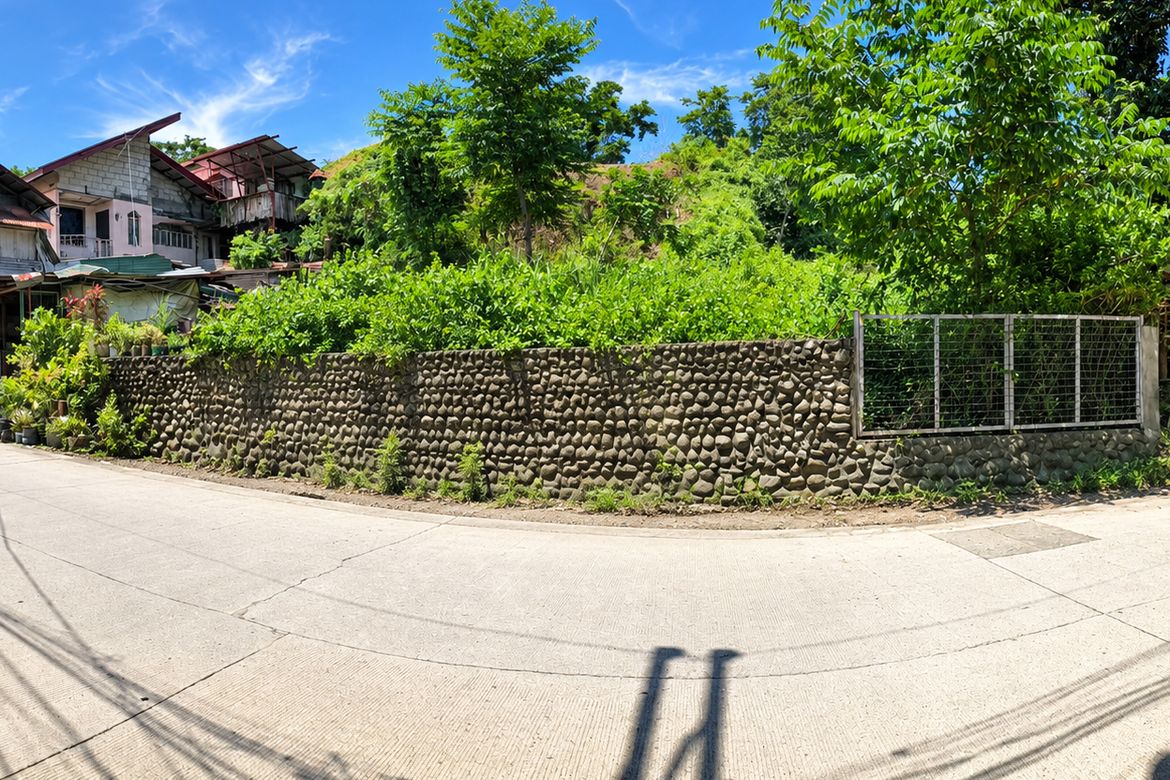 Land for Sale in Tanqui, San Fernando, La Union – photo 4