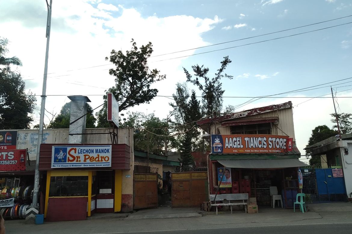 Land for Sale in Tanza, Tuguegarao, Cagayan – photo 8