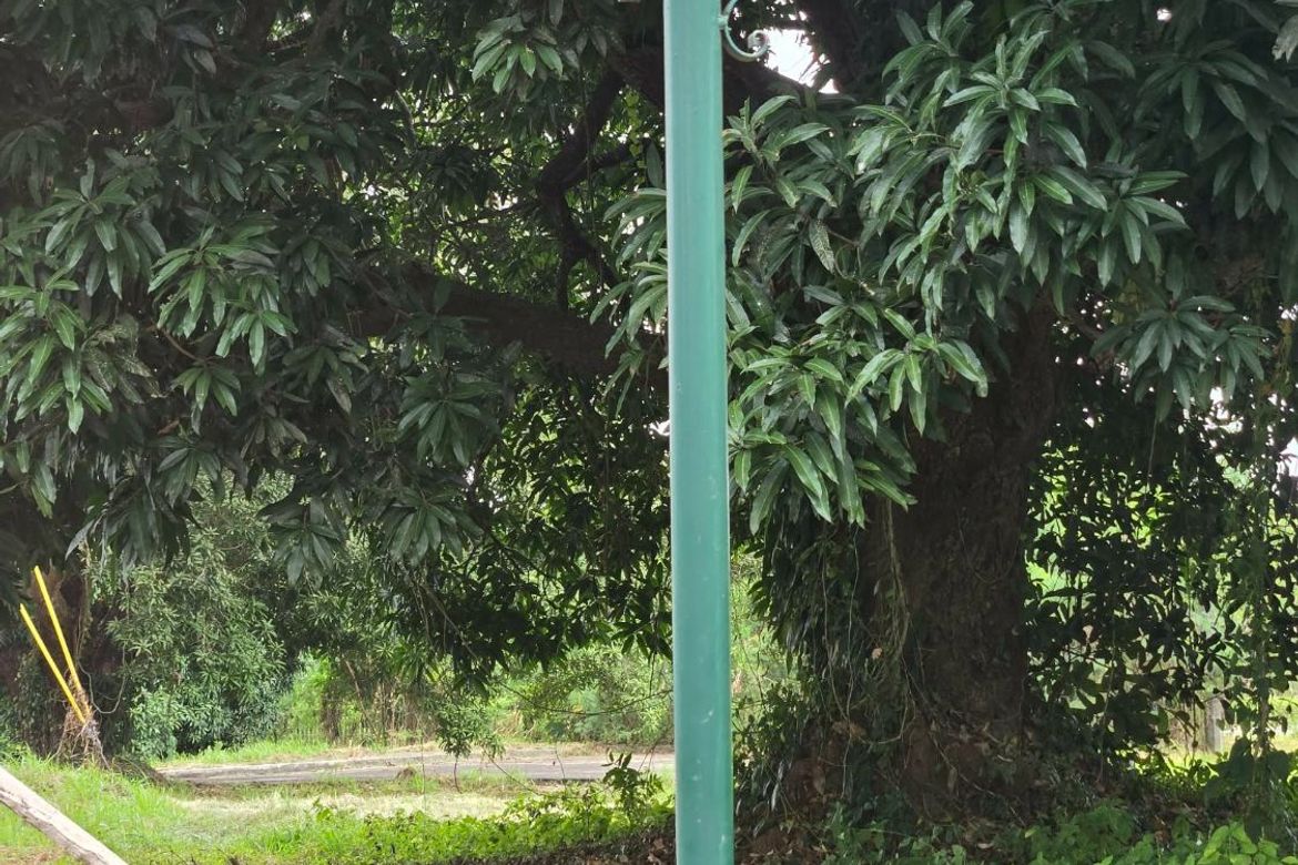 Land for Sale in Tanzang Luma II, Imus, Cavite – photo 4