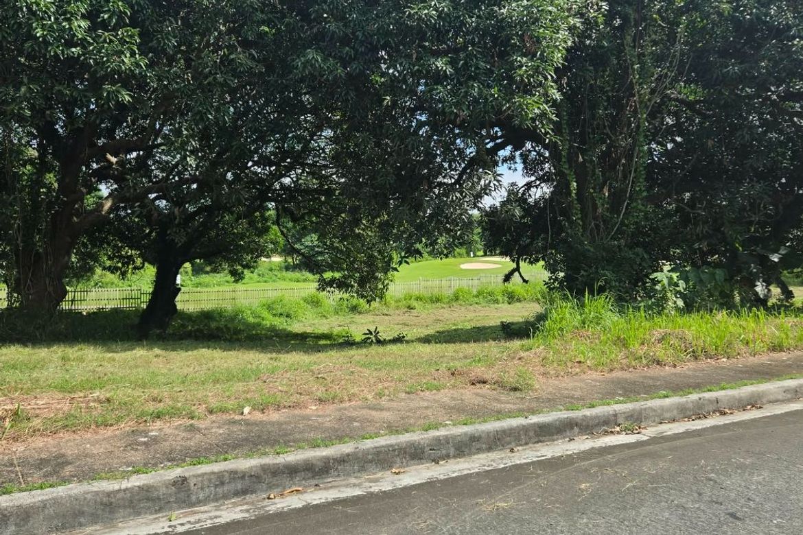 Land for Sale in Tanzang Luma II, Imus, Cavite – photo 6