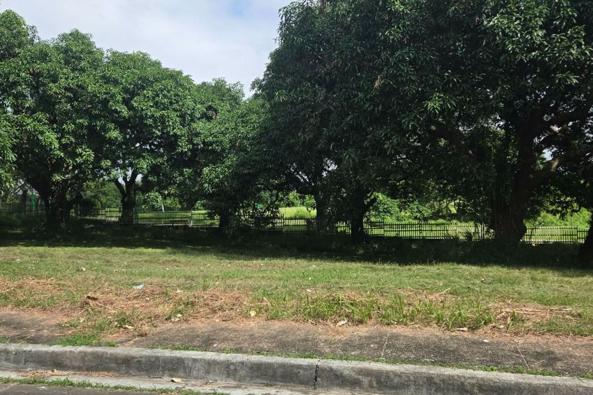 Land for Sale in Tanzang Luma II, Imus, Cavite – photo 7