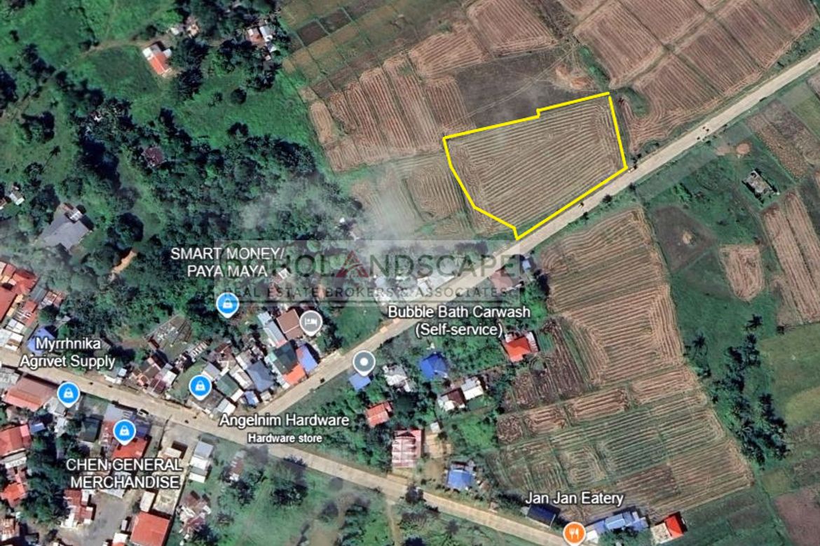 Land for Sale in Tapal, Ubay, Bohol – photo 2
