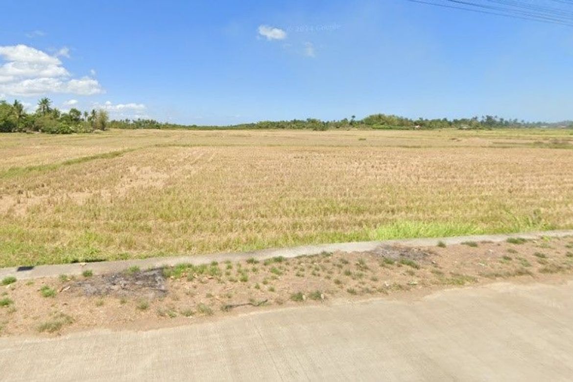 Land for Sale in Tapal, Ubay, Bohol – photo 4