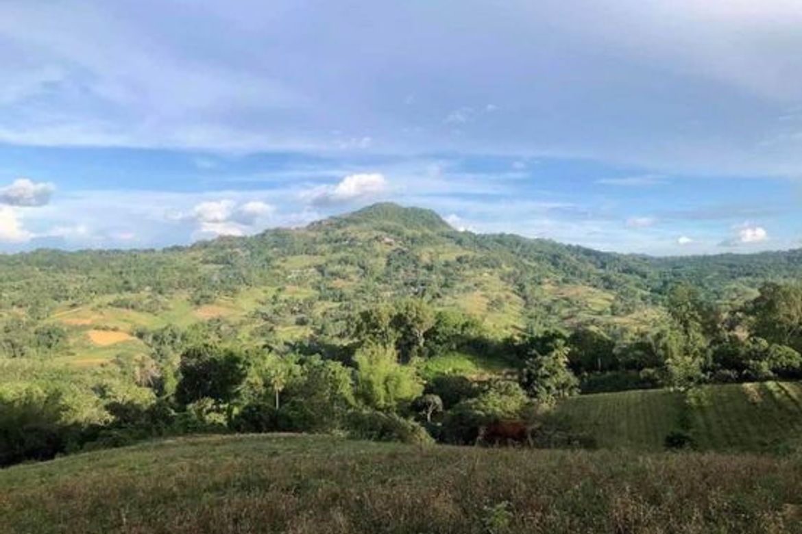 Land for Sale in Taptap, Cebu City, Cebu