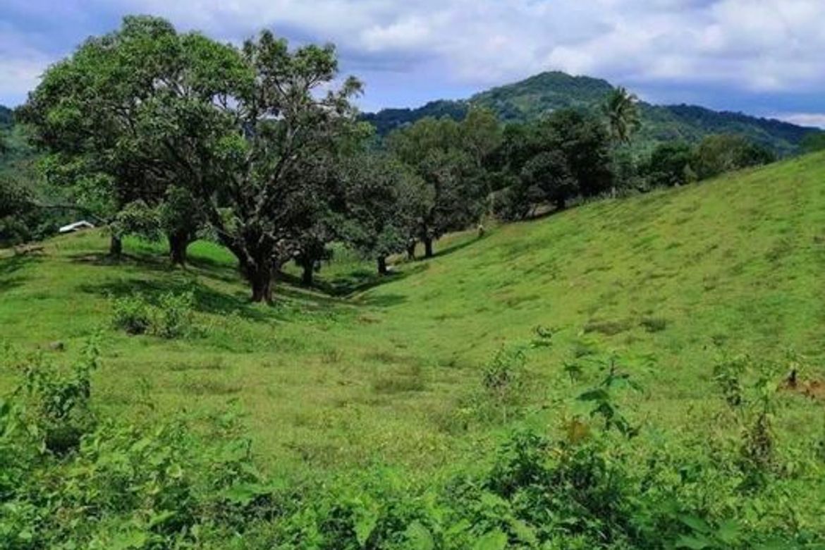 Land for Sale in Taptap, Cebu City, Cebu – photo 3