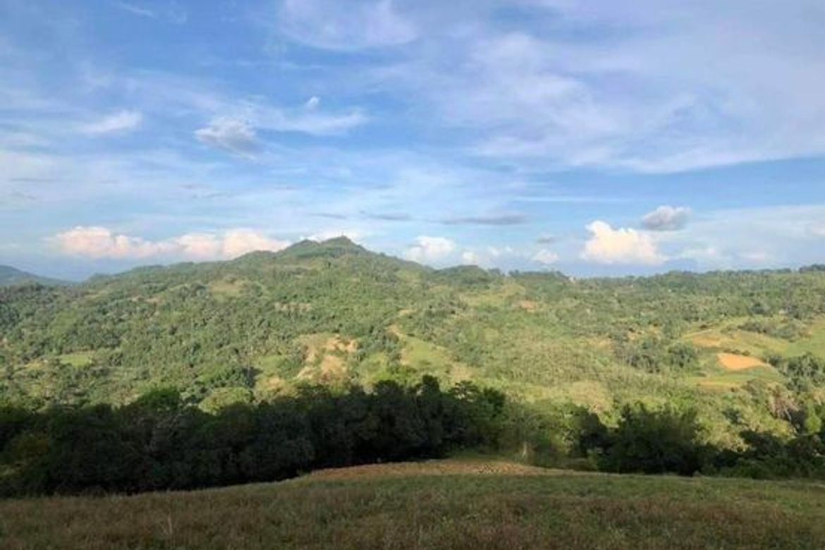 Land for Sale in Taptap, Cebu City, Cebu – photo 4