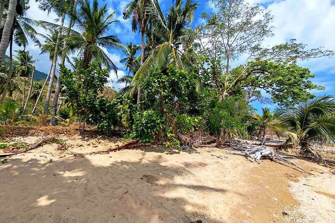 Land for Sale in Taradungan, Roxas, Palawan – photo 5