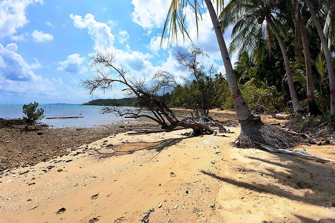 Land for Sale in Taradungan, Roxas, Palawan – photo 7