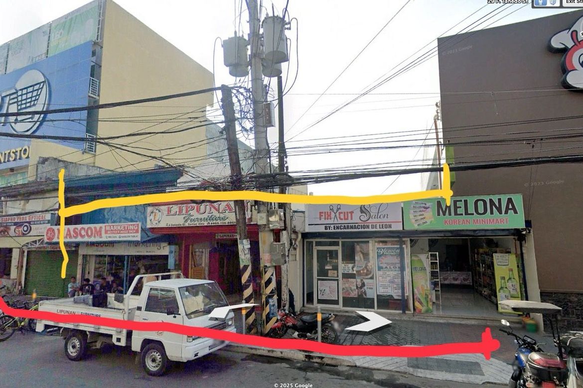 Land for Sale in Tarlac, Tarlac – photo 4