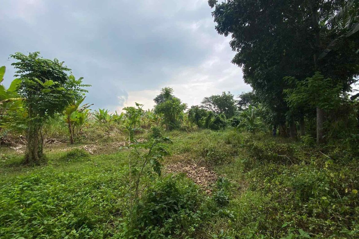 Land for Sale in Tartaria, Silang, Cavite – photo 3