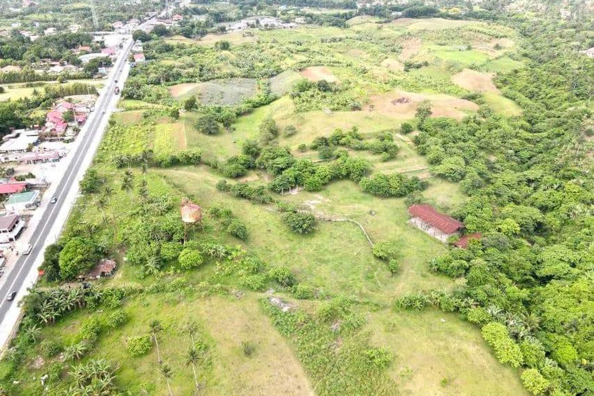 Land for Sale in Tartaria, Silang, Cavite – photo 6