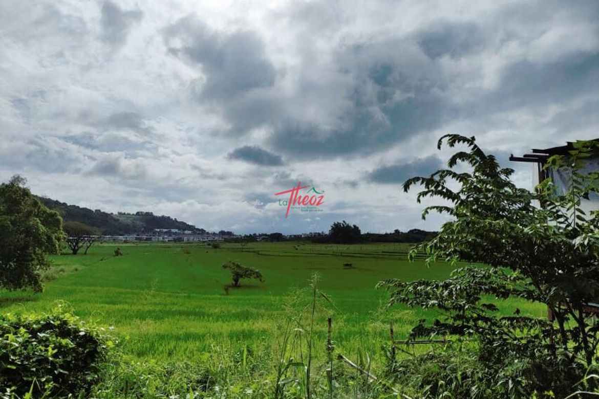 Land for Sale in Tatala, Binangonan, Rizal – photo 2
