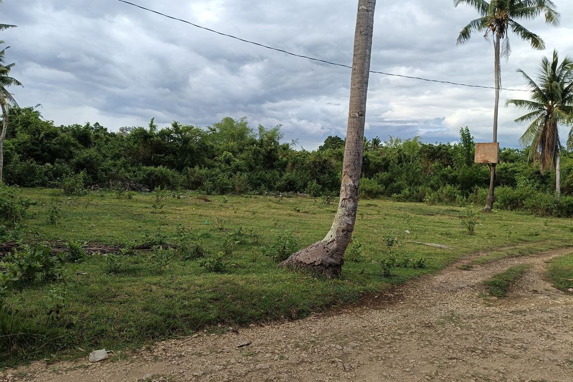 Land for Sale in Tawala, Panglao, Bohol – photo 2