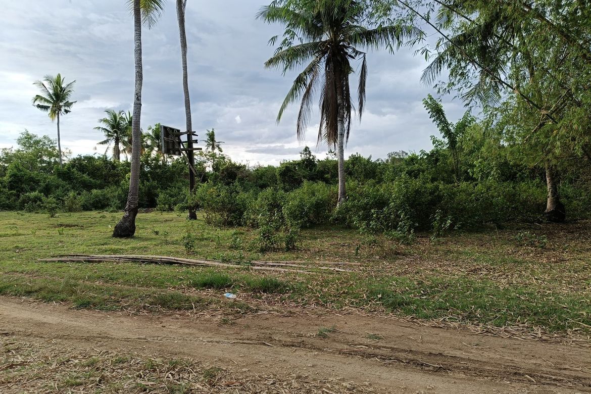 Land for Sale in Tawala, Panglao, Bohol – photo 3