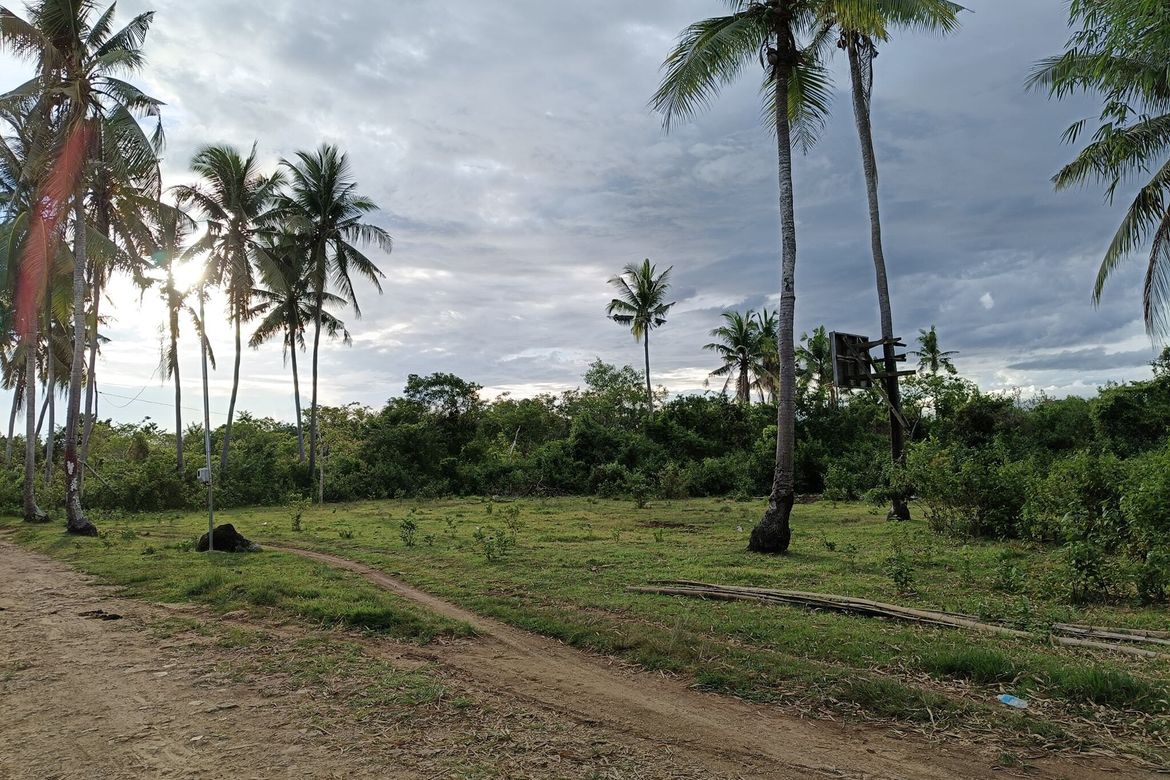 Land for Sale in Tawala, Panglao, Bohol – photo 4