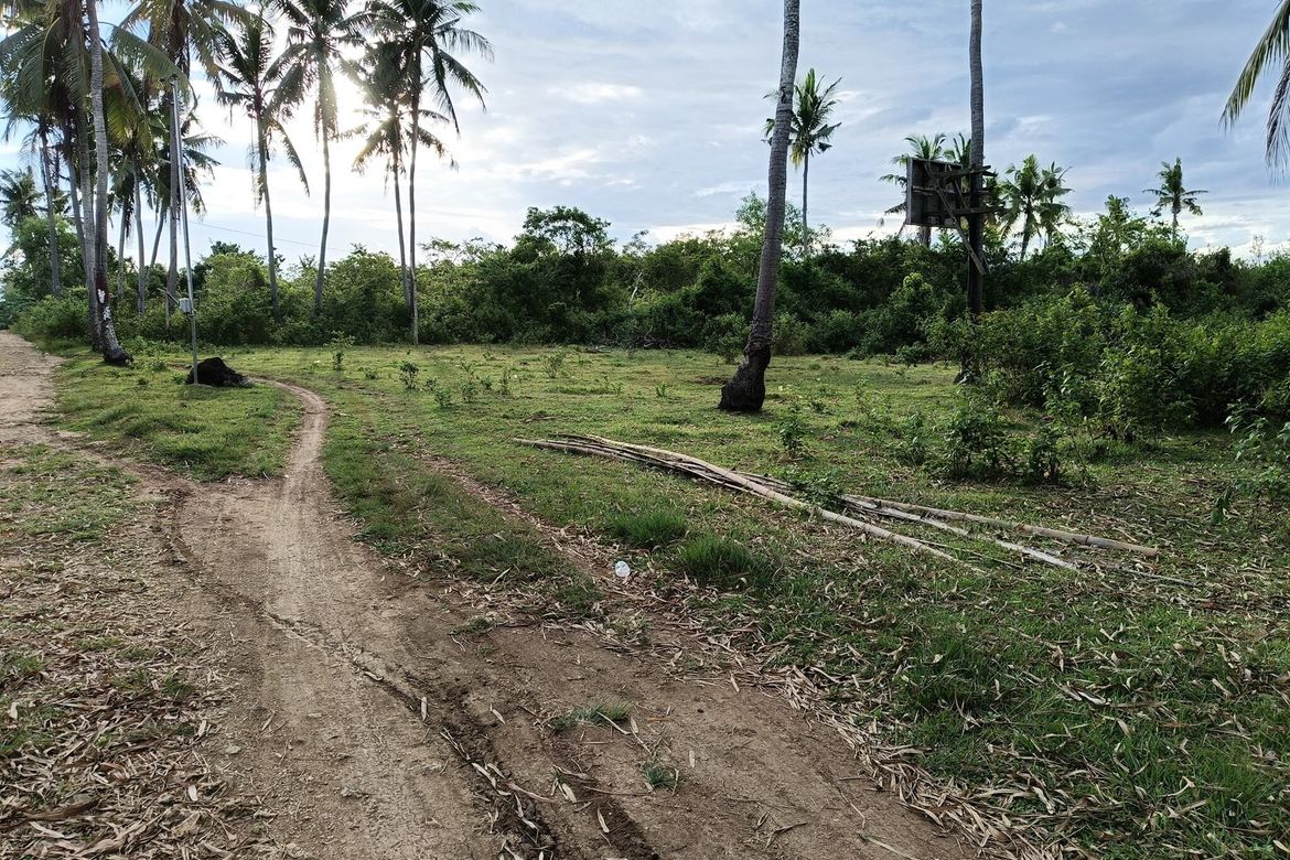 Land for Sale in Tawala, Panglao, Bohol – photo 6