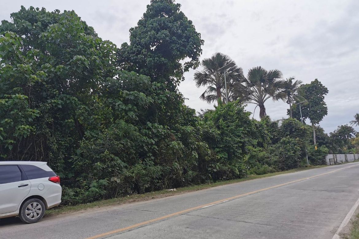 Land for Sale in Tawala, Panglao, Bohol