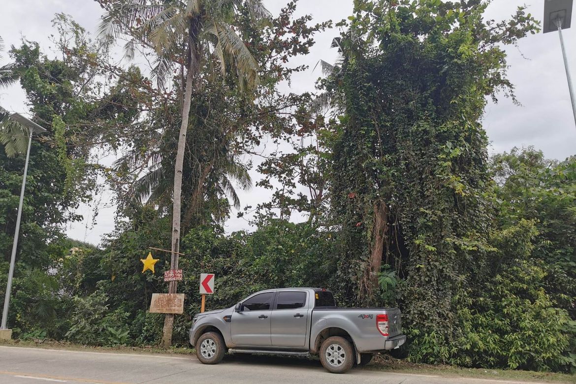 Land for Sale in Tawala, Panglao, Bohol – photo 2