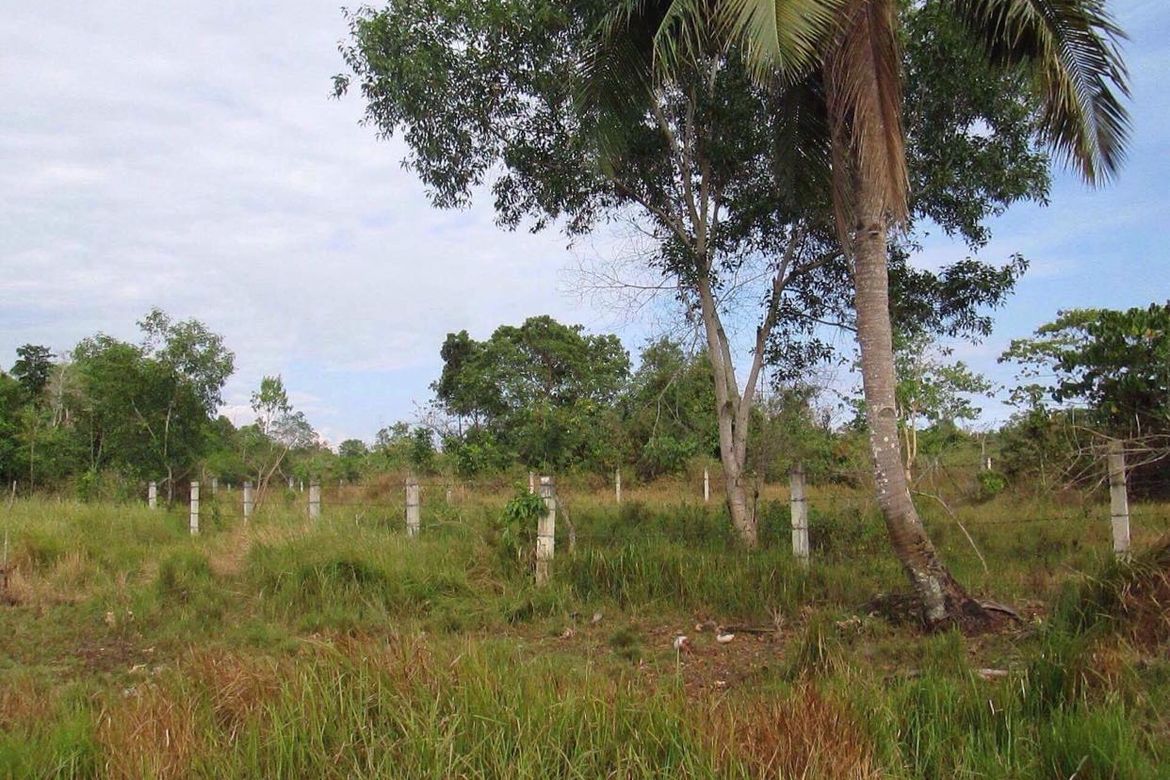Land for Sale in Tawala, Panglao, Bohol
