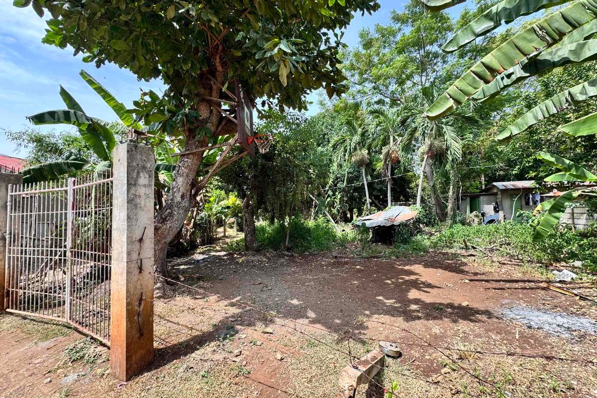 Land for Sale in Tawala, Panglao, Bohol – photo 3