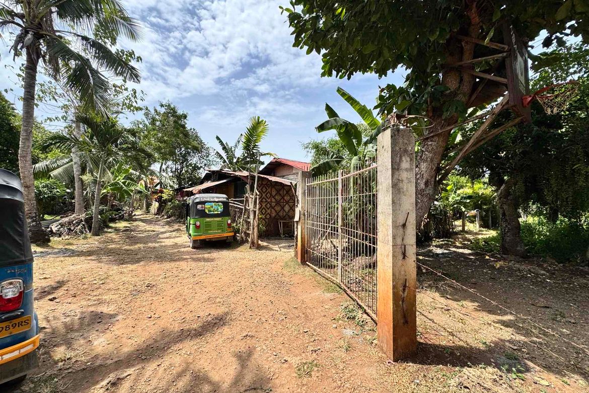 Land for Sale in Tawala, Panglao, Bohol – photo 4