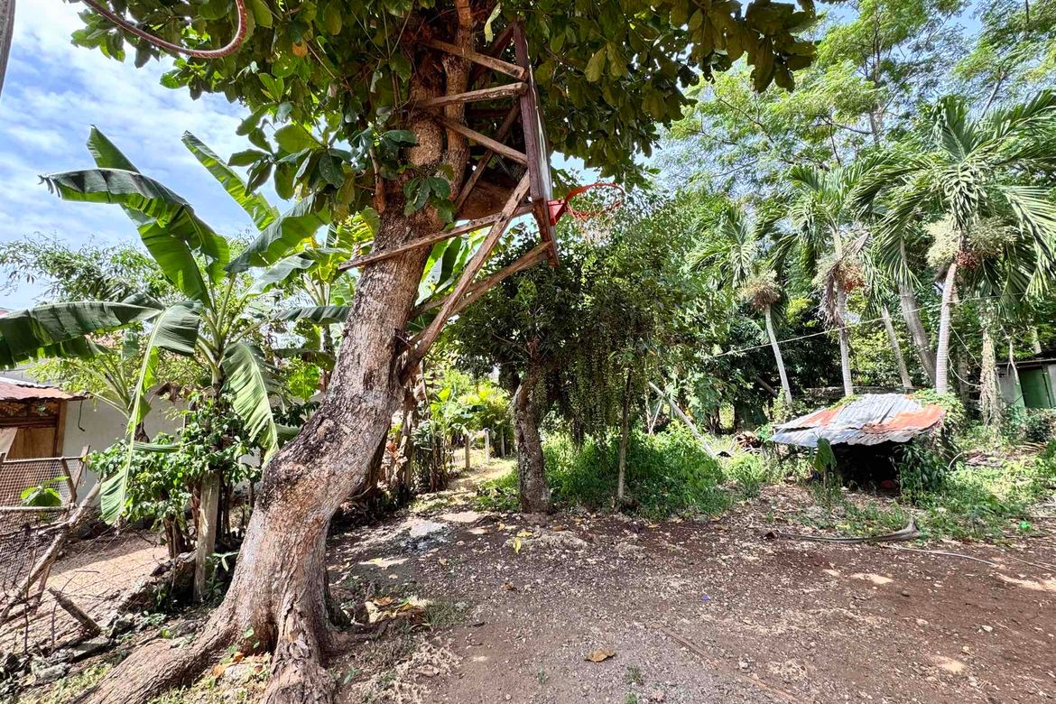 Land for Sale in Tawala, Panglao, Bohol – photo 5