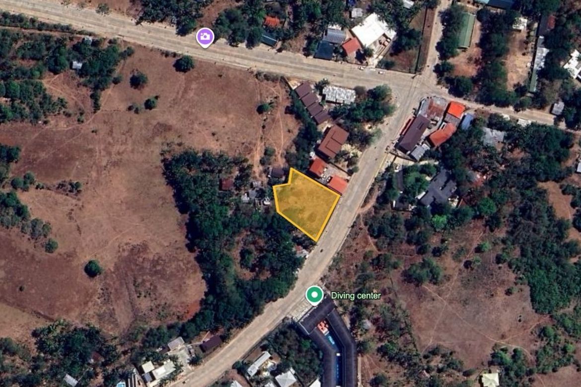 Land for Sale in Tawala, Panglao, Bohol – photo 5