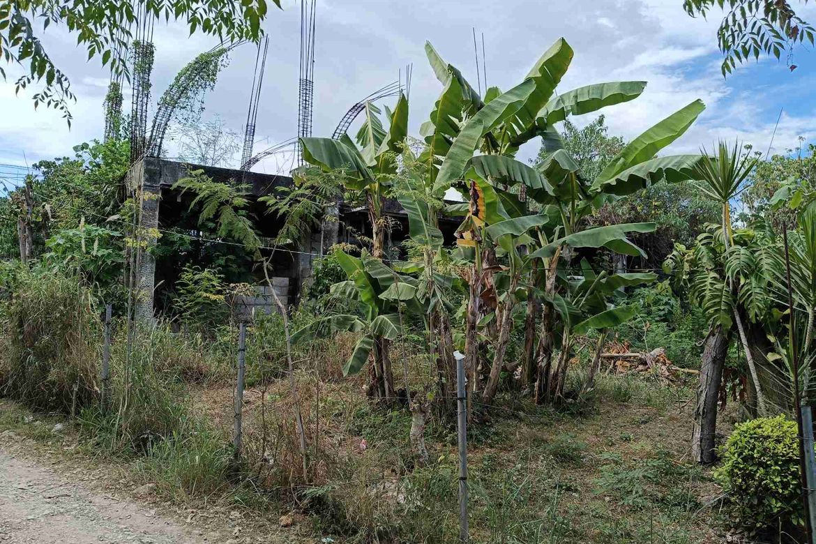 Land for Sale in Tawala, Panglao, Bohol – photo 5