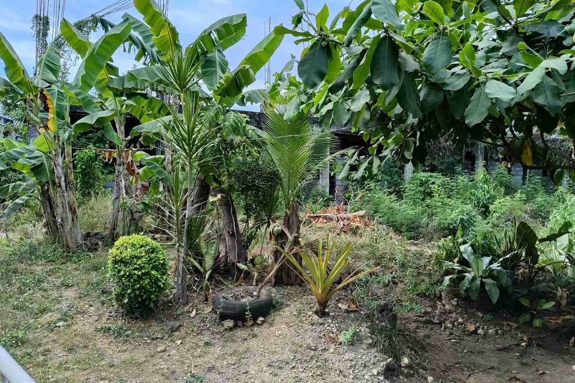 Land for Sale in Tawala, Panglao, Bohol – photo 7