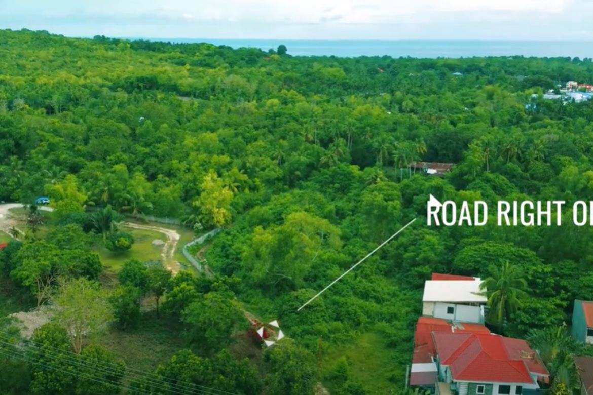 Land for Sale in Tawala, Panglao, Bohol – photo 4