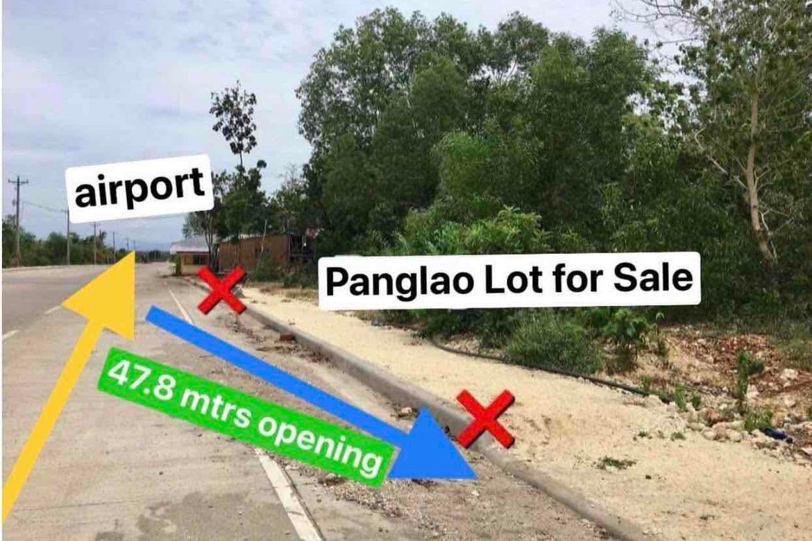 Land for Sale in Tawala, Panglao, Bohol – photo 3