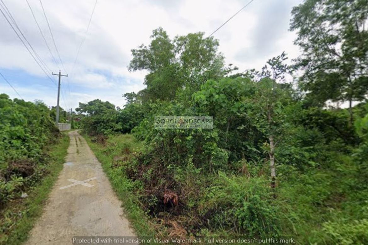 Land for Sale in Tawala, Panglao, Bohol – photo 4