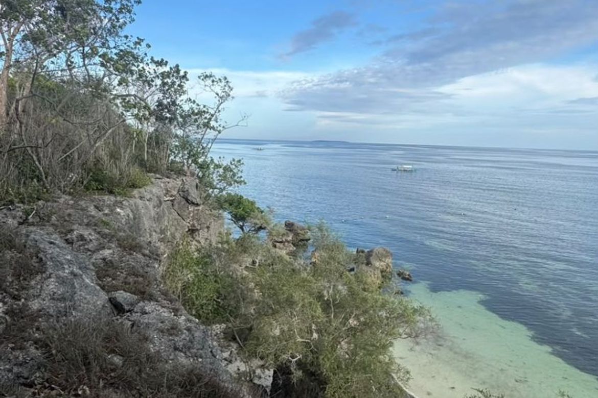 Land for Sale in Tawala, Panglao, Bohol – photo 4