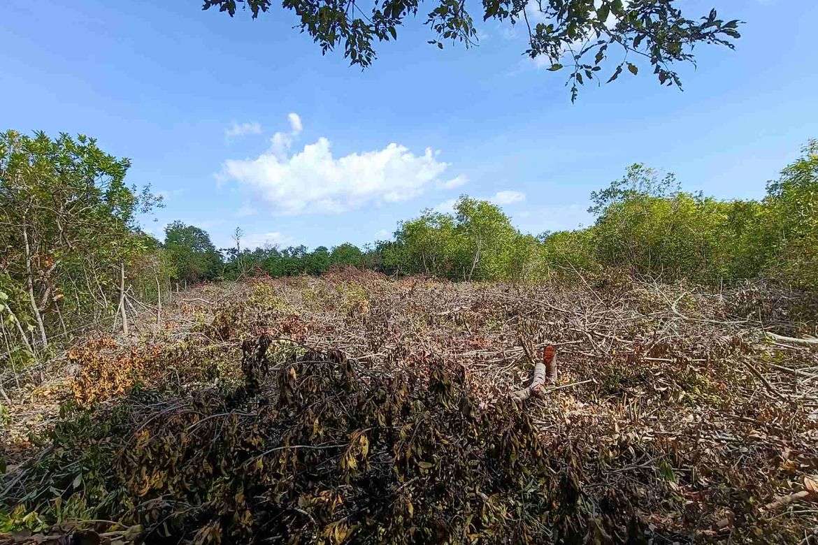 Land for Sale in Tawala, Panglao, Bohol