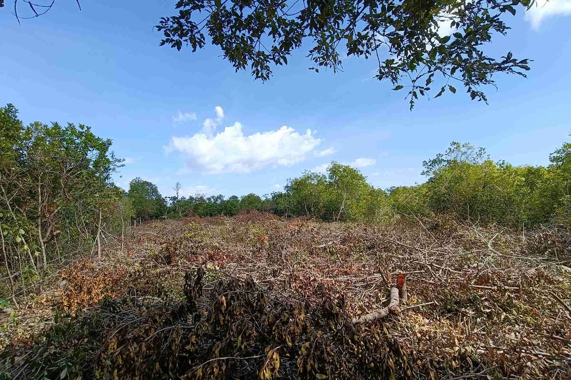 Land for Sale in Tawala, Panglao, Bohol – photo 3